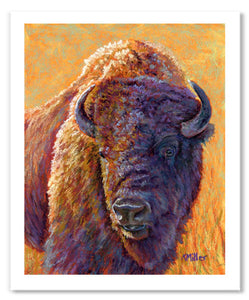 Pastel portrait print of a bison in the morning light. Rendered in a contemporary style using bold strokes and bright color by award winning artist Kathie Miller.