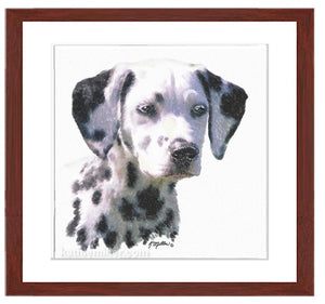 Dalmation Puppy Portrait Painting with mahogany frame by wildlife artist Kathie Miller.  Prints available.