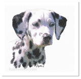 Dalmation Puppy Portrait Painting by wildlife artist Kathie Miller.  Prints available.