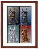 Doberman Colors Poster with mahogany frame by wildlife artist Kathie Miller.  Prints available.