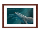 Dolphins painting with mohogany frame by award winning artist Kathie Miller