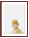 Duckling painting with mohogany frame by wildlife artist Kathie Miller. Prints available