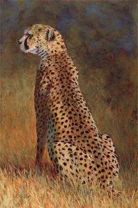 Duma - Cheetah Original Pastel 12" x 18"