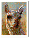 “Eddie-Alpaca” Pastel portrait of an alpaca in a contemporary style with pastels using bold strokes and bright colors by award winning artist Kathie Miller.