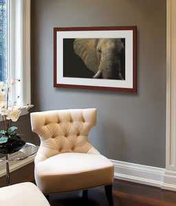 Elephant portrait painting by award winning artist Kathie Miller. Prints Available.