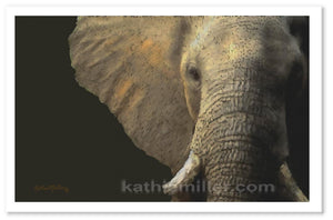Elephant portrait painting by award winning artist Kathie Miller. Prints Available.