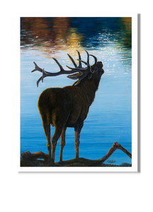 Elk | Fine Art Print