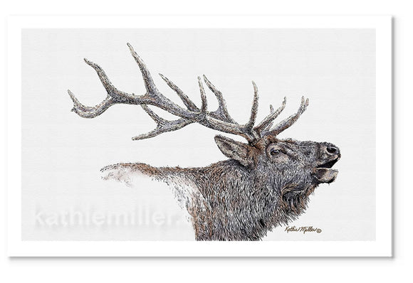 Elk Painting by award winning artist Kathie Miller. Prints available.