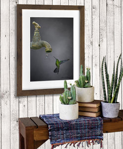 Western Emerald Hummingbird Painting by wildlife artist Kathie Miller.  Prints available. 