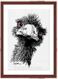  Emu painting with mahogany frame by wildlife artist Kathie Miller. Prints available.