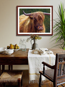 Pastel portrait print of a highland cow in the morning sun with a mahogany frame and 2” white mat hanging in a rustic style dining room. Rendered in a contemporary style using bold strokes and bright colors by award winning artist Kathie Miller. 