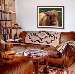 Pastel portrait print of a highland cow in the morning sun with a mahogany frame and 2” white mat hanging in a western style living room. Rendered in a contemporary style using bold strokes and bright colors by award winning artist Kathie Miller. 