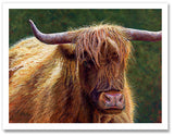 Pastel portrait print of a highland cow in the morning sun. Rendered in a contemporary style using bold strokes and bright color by award winning artist Kathie Miller.