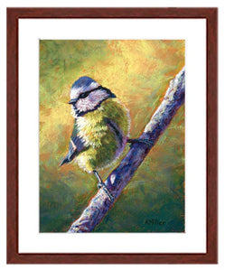 Pastel portrait of a blue tit in the morning light. Print with a mahogany frame and white mat. Rendered in a contemporary style using bold strokes and bright colors by award winning artist Kathie Miller. 