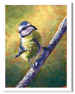 Pastel portrait print of a blue tit in the morning light. Rendered in a contemporary style using bold strokes and bright colors by award winning artist Kathie Miller.