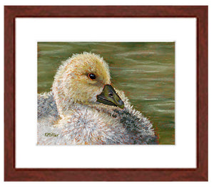 "Gabby-Gosling”. Pastel portrait of a young gosling with a mahogany frame and white mat. Rendered in a contemporary style using bold strokes and bright colors by award winning artist Kathie Miller. 