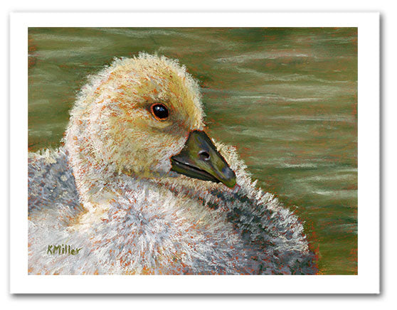Pastel portrait of a young gosling in a contemporary style with pastels using bold strokes and bright colors by award winning artist Kathie Miller.