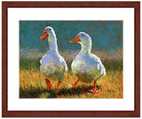 Pastel painting of two white ducks walking in the sun with a mahogany frame and white mat. Rendered in a contemporary style using bold strokes and bright colors by award winning artist Kathie Miller. 