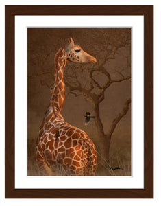 Portrait of a young giraffe with oxpeckers in the setting sun with walnut frame and by award winning artist Kathie Miller 