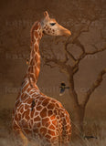 Portrait of a young giraffe with oxpeckers in the setting sun by award winning artist Kathie Miller 