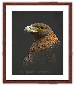 Golden Eagle painting with mahogany frame by wildlife artist Kathie Miller. Prints available. 