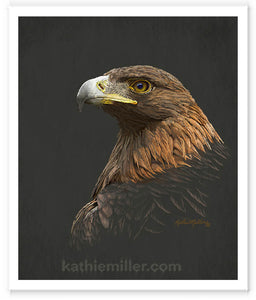 Golden Eagle painting by wildlife artist Kathie Miller. Prints available. 