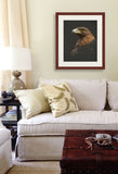 Golden Eagle painting by wildlife artist Kathie Miller. Prints available. 