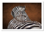 Grant's Zebra II by award winning artist Kathie Miller