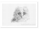 Great Horned Owl Chick painting by wildlife artist Kathie Miller.  Prints available.