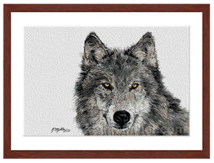 Grey Wolf Portrait painting with mohogany frame by award winning artist Kathie Miller. Prints available. 