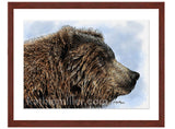 Grizzly Bear painting with mohogany frame by award winning artist Kathie Miller. Prints available