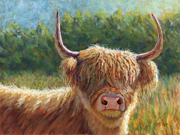 Original 12” x 9” pastel portrait of a Highland cow in the morning sun by award winning artist Kathie Miller. Contemporary style using bold strokes and bright colors. Prints available.