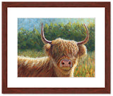 Pastel portrait print of a Highland cow in the morning sun with a mahogany frame and 2” white mat. Rendered in a contemporary style using bold strokes and bright colors by award winning artist Kathie Miller. 