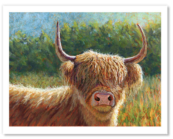 Pastel portrait print of a Highland cow in the morning sun. Rendered in a contemporary style using bold strokes and bright color by award winning artist Kathie miller.