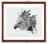 Harpy Eagle Drawing with mahogany frame by wildlife artist Kathie Miller. Prints available.