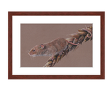 Harvest Mouse 3 pastel print with mahogany frame by award winning artist Kathie Miller.