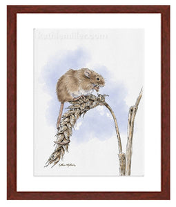 Harvest Mouse Painting with mahogany frame by wildlife artist Kathie Miller. Prints available.
