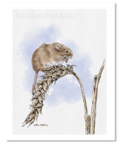 Harvest Mouse Painting by wildlife artist Kathie Miller. Prints available.