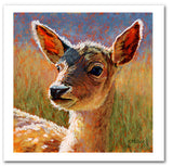 "Jade-Deer Fawn”. Pastel portrait of a young deer fawn in a contemporary style using bold strokes and bright colors by award winning artist Kathie Miller. 