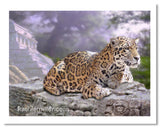 Jaguar and Mayan Temple painting by award winning artist Kathie Miller. Prints available.