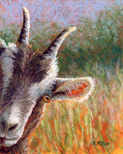 Original 8” x 10” pastel portrait of a goat peaking around the corner by award winning artist Kathie Miller. Contemporary style using bold strokes and bright colors. Prints available.