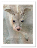 Kangaroo Joey painting by wildlife artist Kathie Miller.  Prints available.