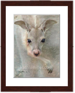 Kangaroo Joey painting with walnut frame by wildlife artist Kathie Miller.  Prints available.
