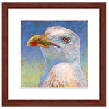 "Johnny-Sea Gull”. Pastel portrait of a sea gull with a mahogany frame and white mat. Rendered in a contemporary style using bold strokes and bright colors by award winning artist Kathie Miller. 