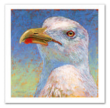 "Johnny-Sea Gull”. Pastel portrait of a sea gull in a contemporary style using simple strokes and bright colors by award winning artist Kathie Miller. 