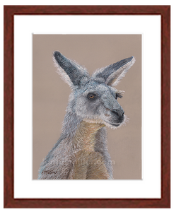 Kangaroo portrait in pastels with mahogany frame by award winning artist Kathie Miller.