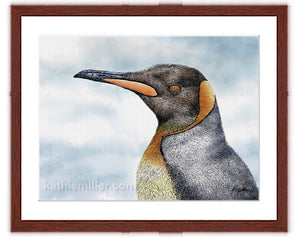 King Penguin painting with mahogany frame by wildlife artist Kathie Miller.  Prints available. 