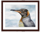 King Penguin painting with walnut frame by wildlife artist Kathie Miller.  Prints available. 