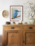 Kingfisher painting by wildlife artist Kathie Miller.  