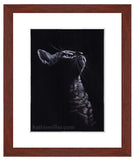 Kitten on Black painting with mohogany frame by award winning artist Katie Miller. Prints available.